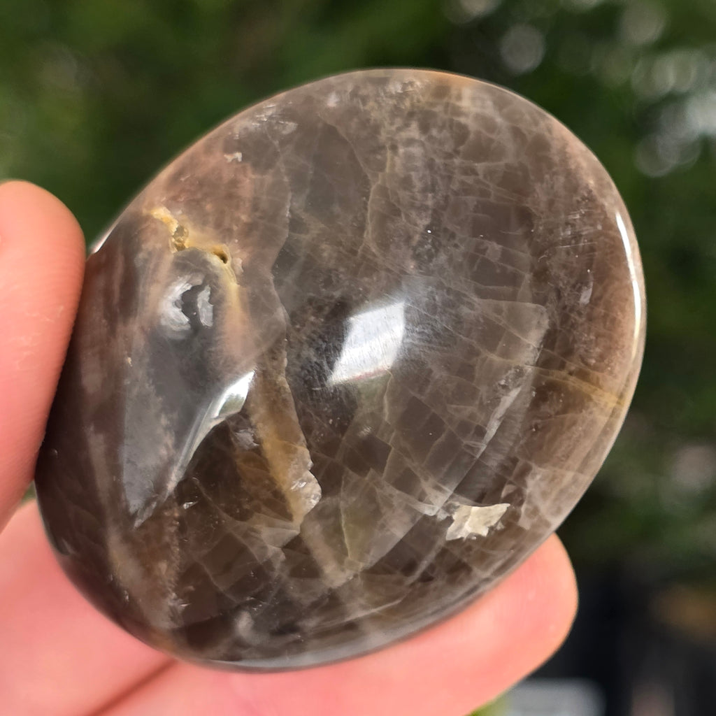 Palmstone piatra lunii somon gri | Model 4, pietre semipretioase - druzy.ro 1 