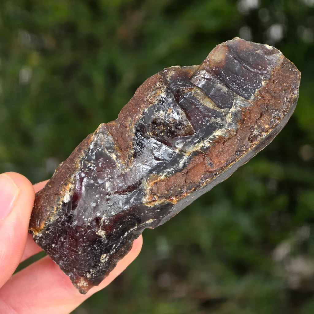 Chihlimbar fosil din Indonezia – Rășină naturală | Model 7, pietre semipretioase - druzy.ro 6 