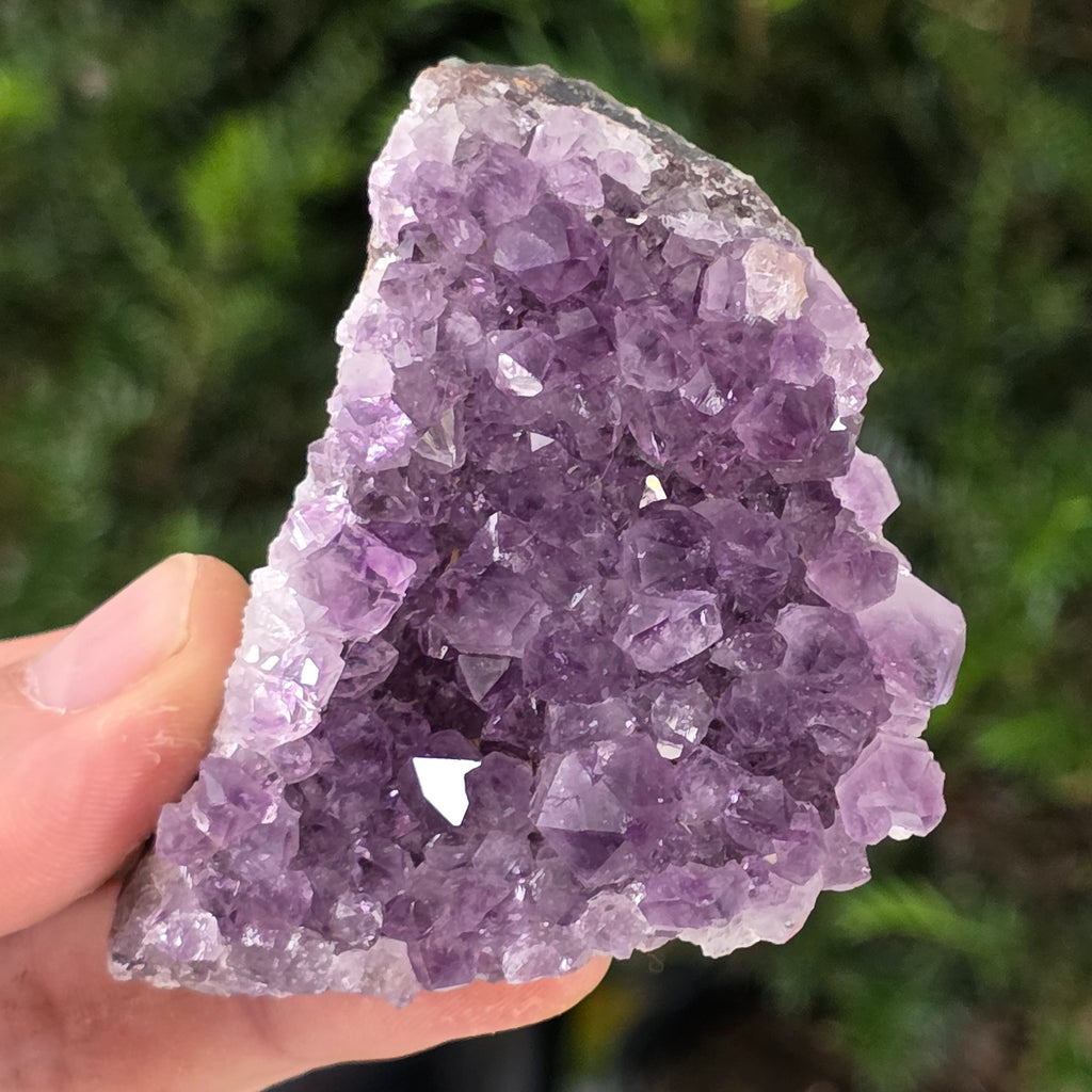 Cluster ametist model 24, pietre semipretioase - druzy.ro 1 