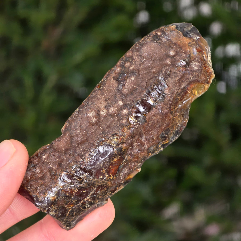 Chihlimbar fosil din Indonezia – Rășină naturală | Model 7, pietre semipretioase - druzy.ro 3 