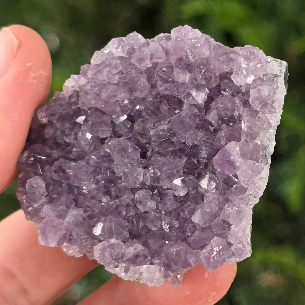 Cluster ametist model 16, pietre semipretioase - druzy.ro 2 