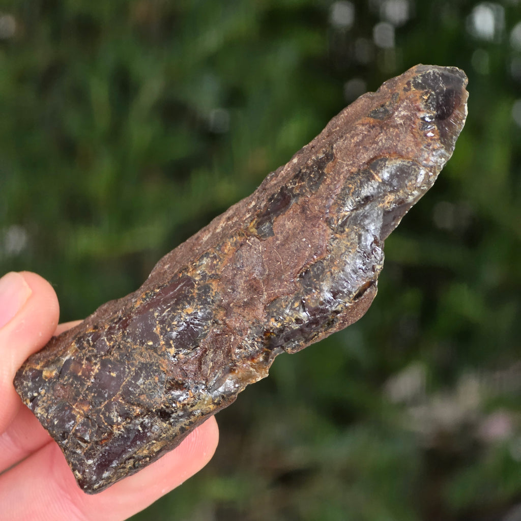 Chihlimbar fosil din Indonezia – Rășină naturală | Model 7, pietre semipretioase - druzy.ro 5 