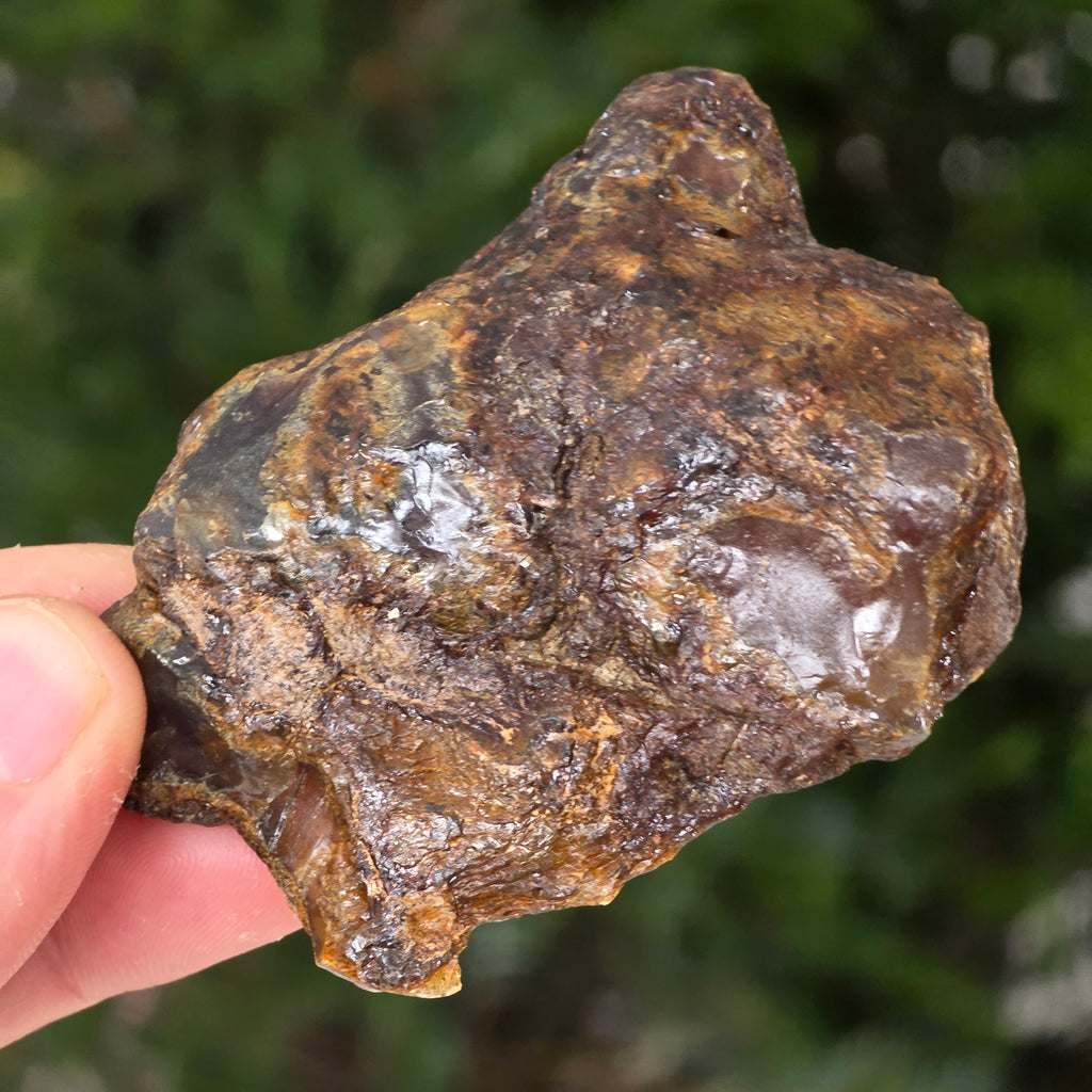 Chihlimbar fosil din Indonezia – Rășină naturală | Model 2, pietre semipretioase - druzy.ro 3 